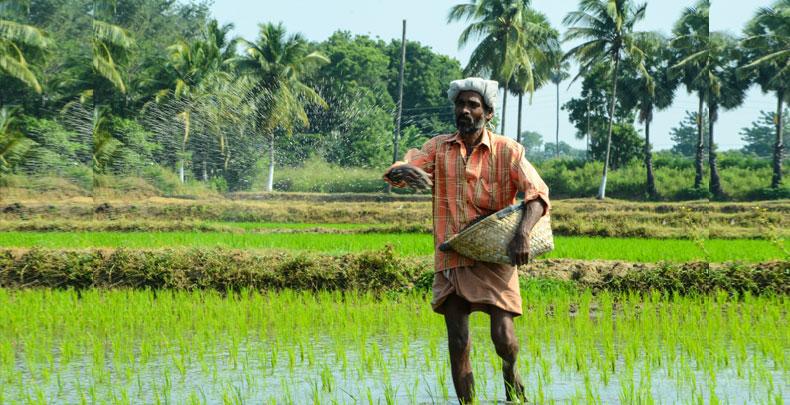 eNAM: A stride towards making the Indian Agri-Supply chain more efficient