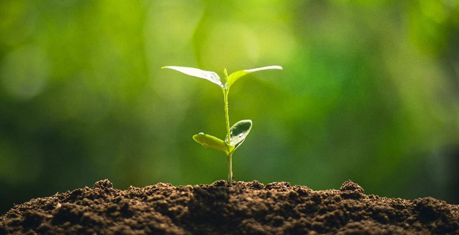 stunning natural beauty